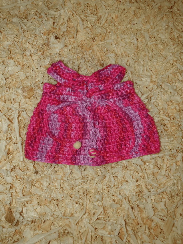 Robe pour Camille en dégradé de Fushia (seule)