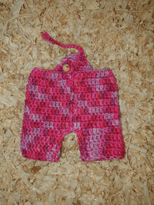 Salopette pour Camille en dégradé de Fushia (seule)