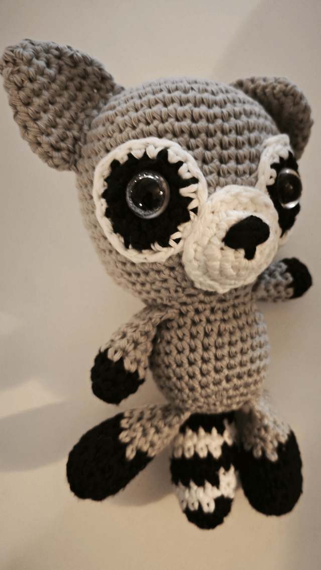 Raccoon le Raton Laveur