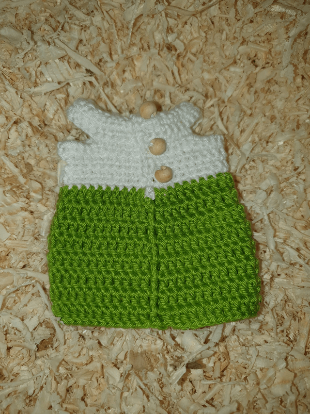 Robe pour Camille Blanche et Verte (seule)