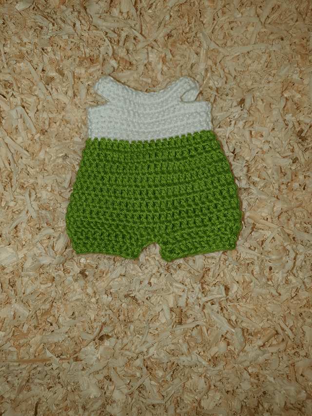 Combi pour Camille Blanche et Verte (seule) 